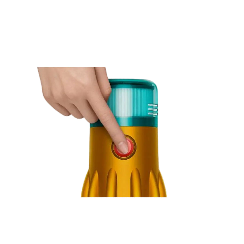Dyson Vacuum